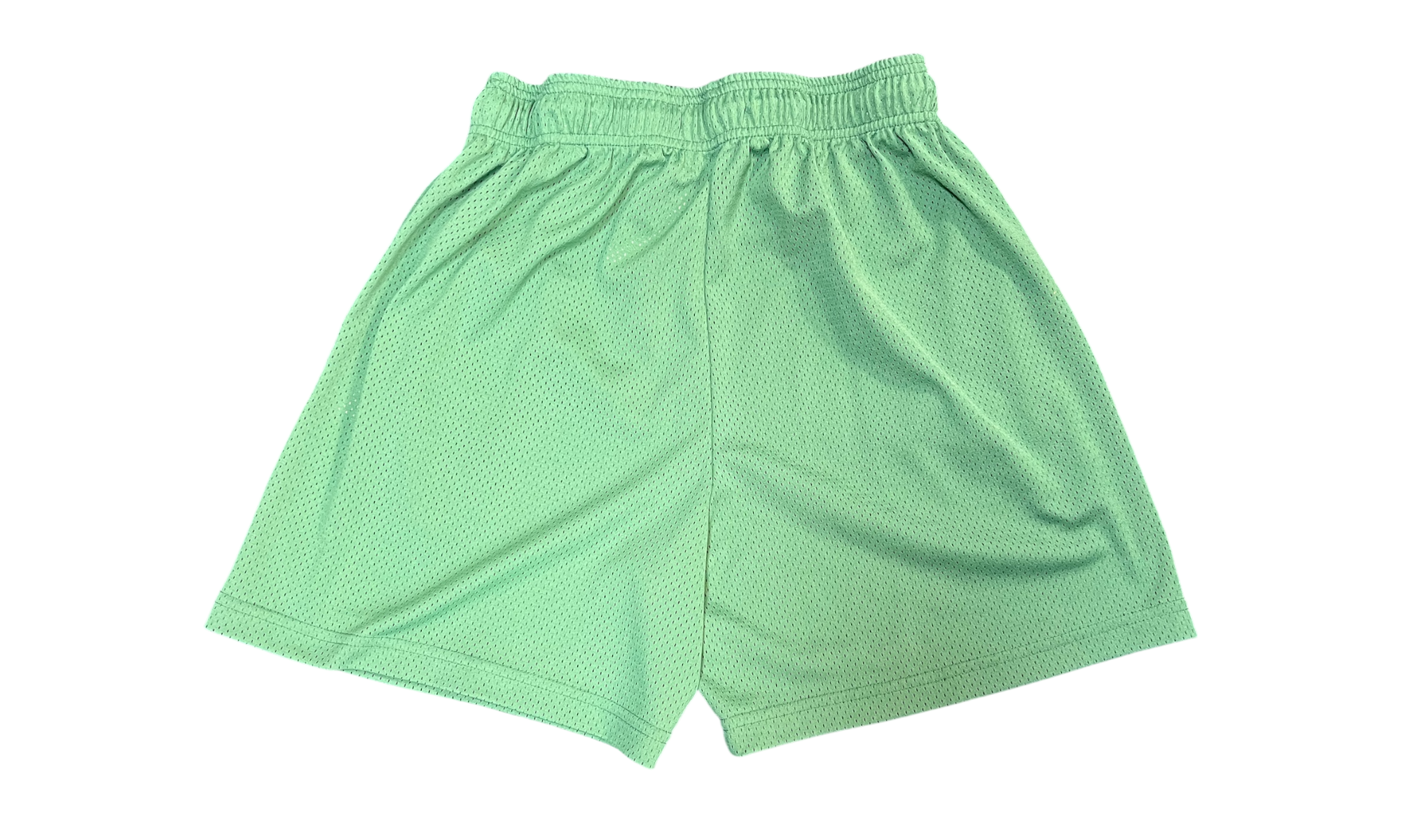 Eric Emanuel EE Basic Teal Shorts (PreOwned)