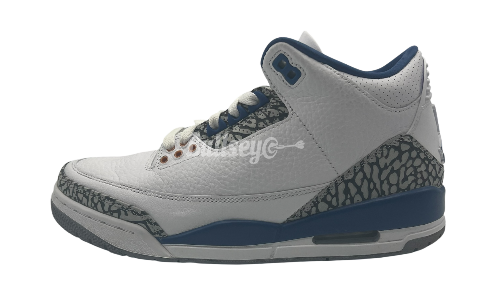 Air Jordan 3 Retro "Wizards" (PreOwned)