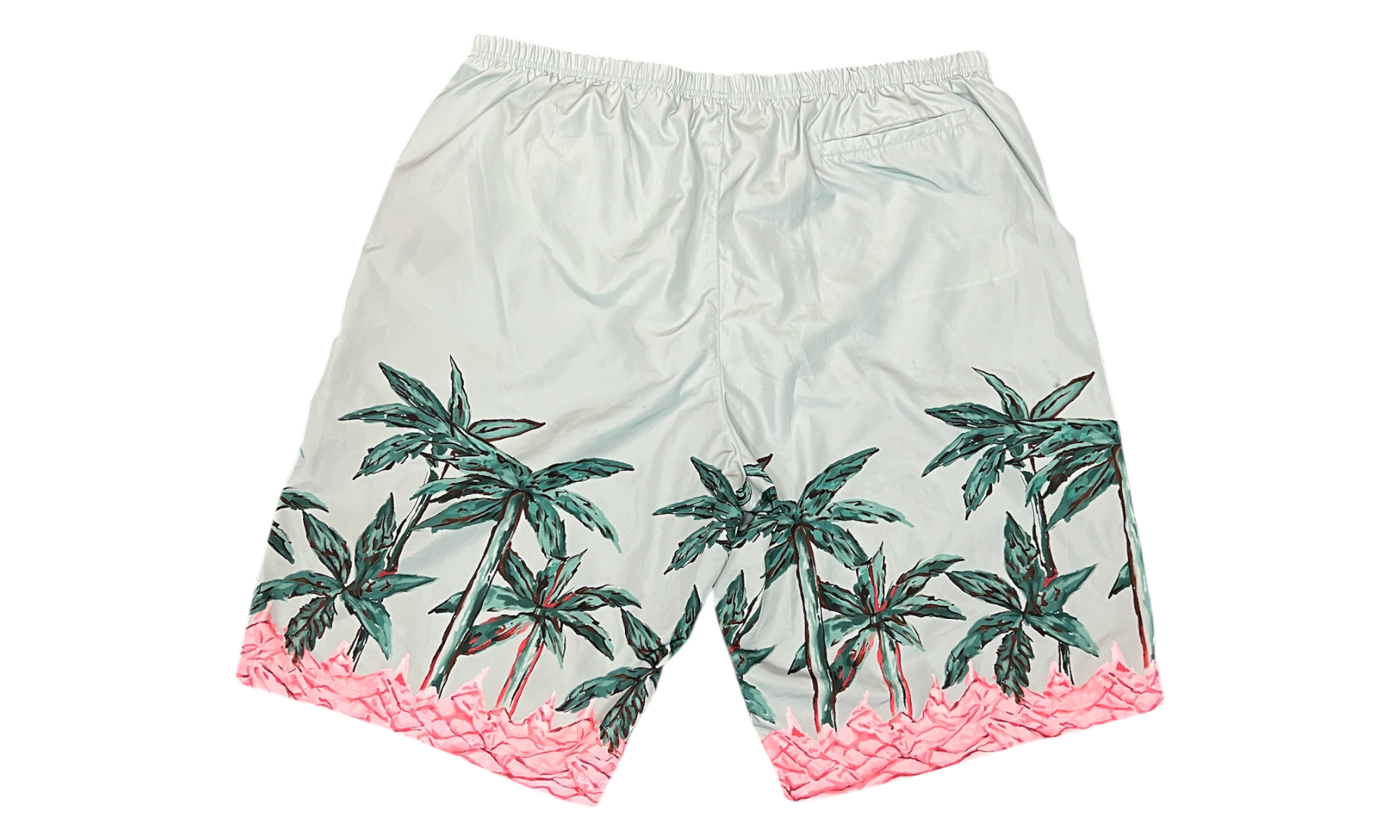 Palm Angels Row Long Swim Shorts (PreOwned)
