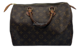 Louis Vuitton Monogram Speedy (PreOwned)