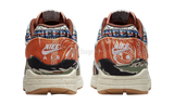 Nike Air Max 1 SP Concepts "Heavy"