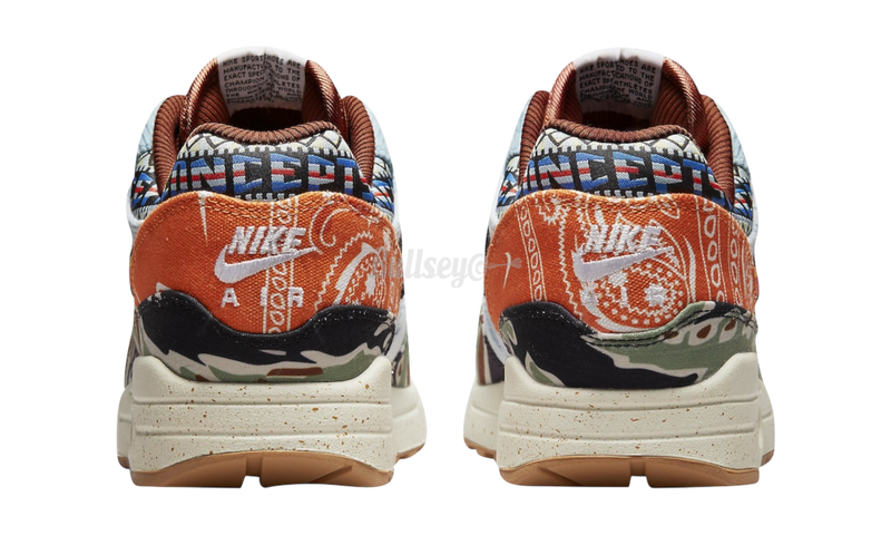 Nike Air Max 1 SP Concepts "Heavy"