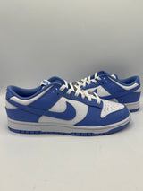 Nike Dunk Low "Polar Blue" (PreOwned)