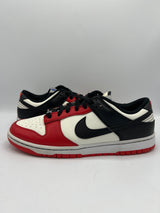 Nike Dunk Low x NBA "Bulls" EMB (PreOwned) (No Box)