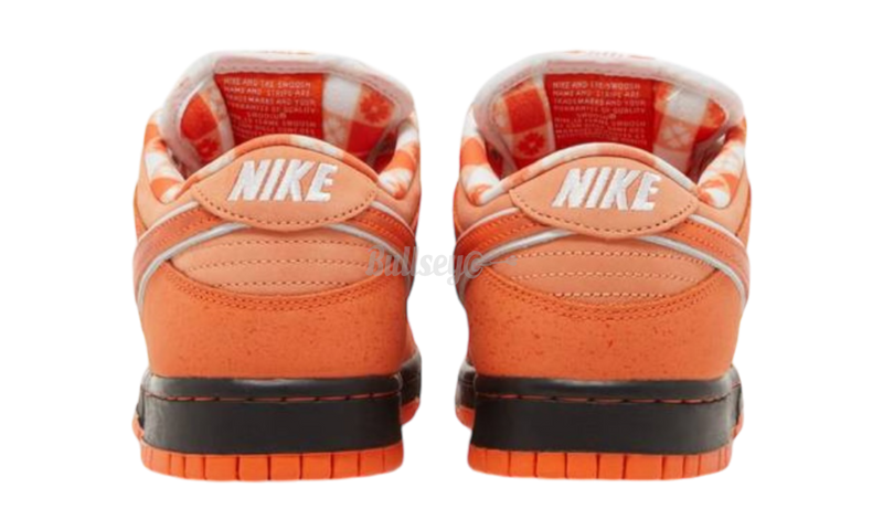 Nike Sb Dunk Low Concepts "Orange Lobster" (Special Box)