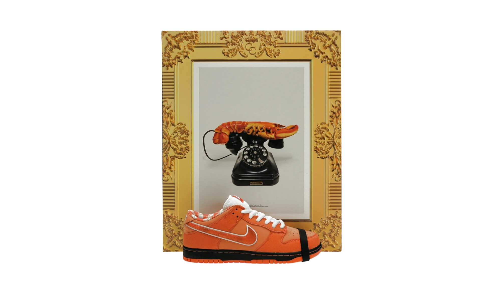 Nike Sb Dunk Low Concepts "Orange Lobster" (Special Box)