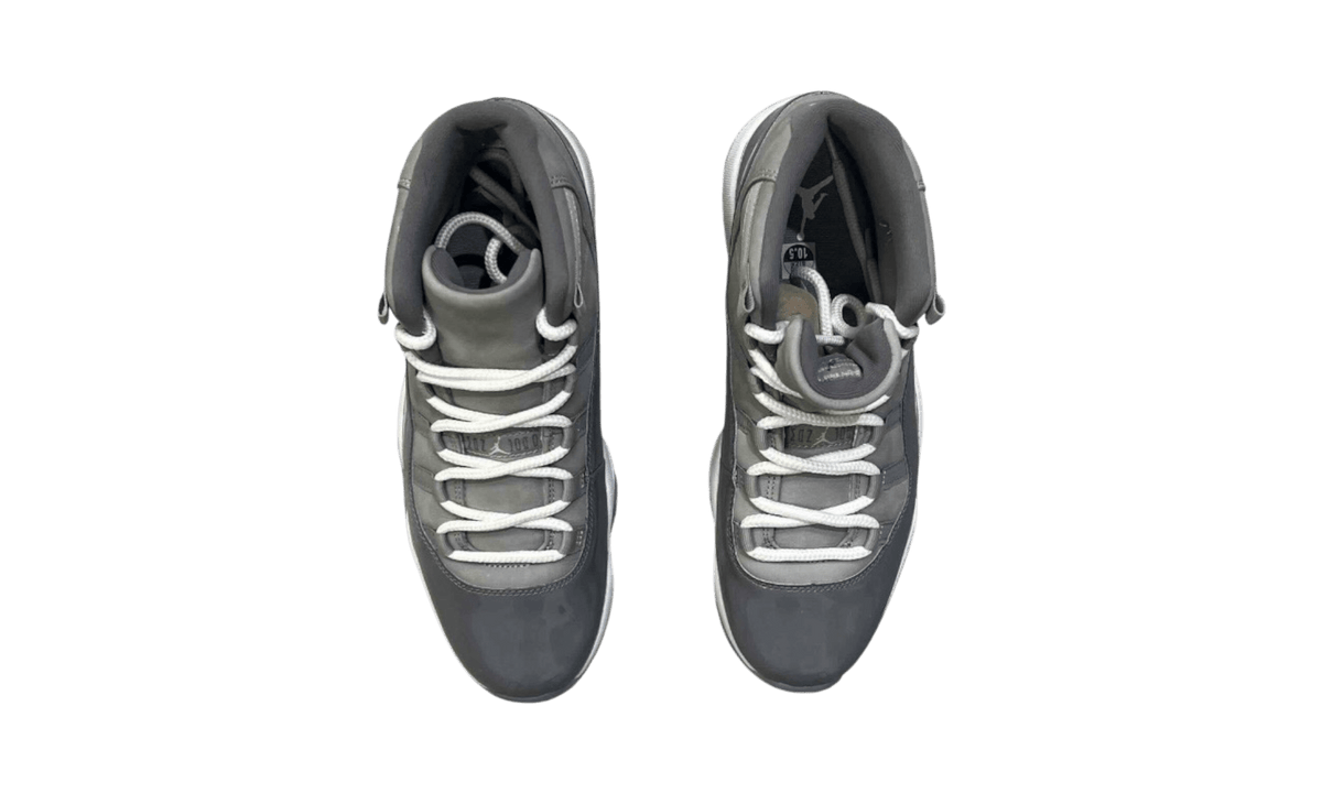 Air Jordan 11 Retro "Cool Grey" 2021 (Preowned)