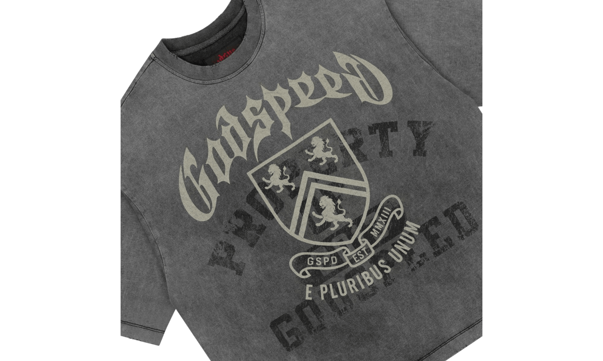 Godspeed Collegiate Grey Washed T-Shirt