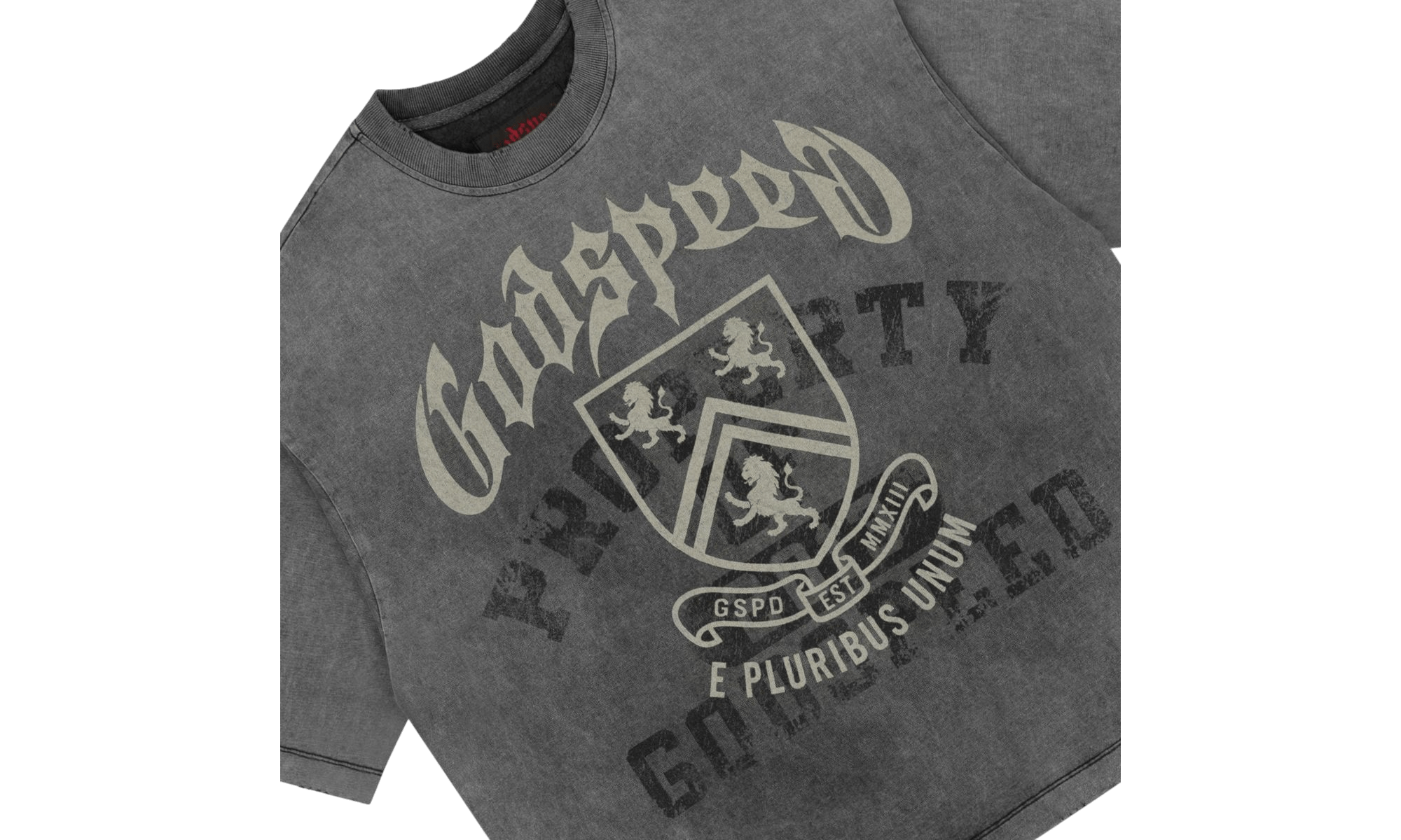 Godspeed Collegiate Grey Washed T-Shirt