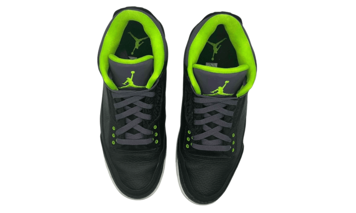 Jordan 3 Retro Joker (Preowned)