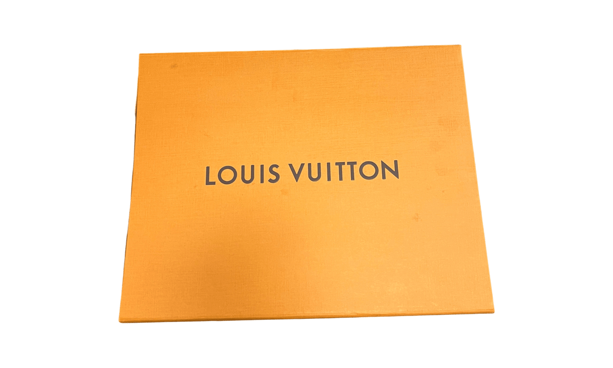 Louis Vuitton LV SK8 Shoe Grey