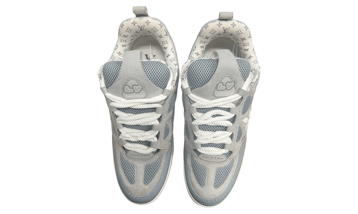 Louis Vuitton LV SK8 Shoe Grey