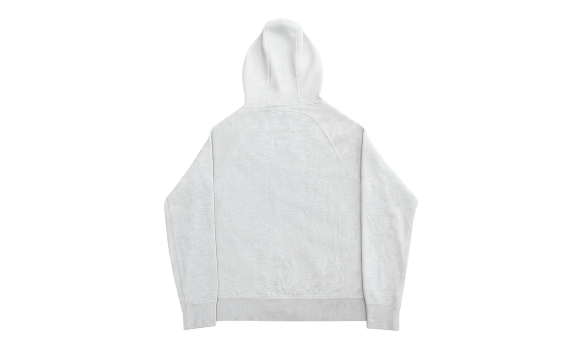Dior oblique lined zip hoodie (PreOwned)