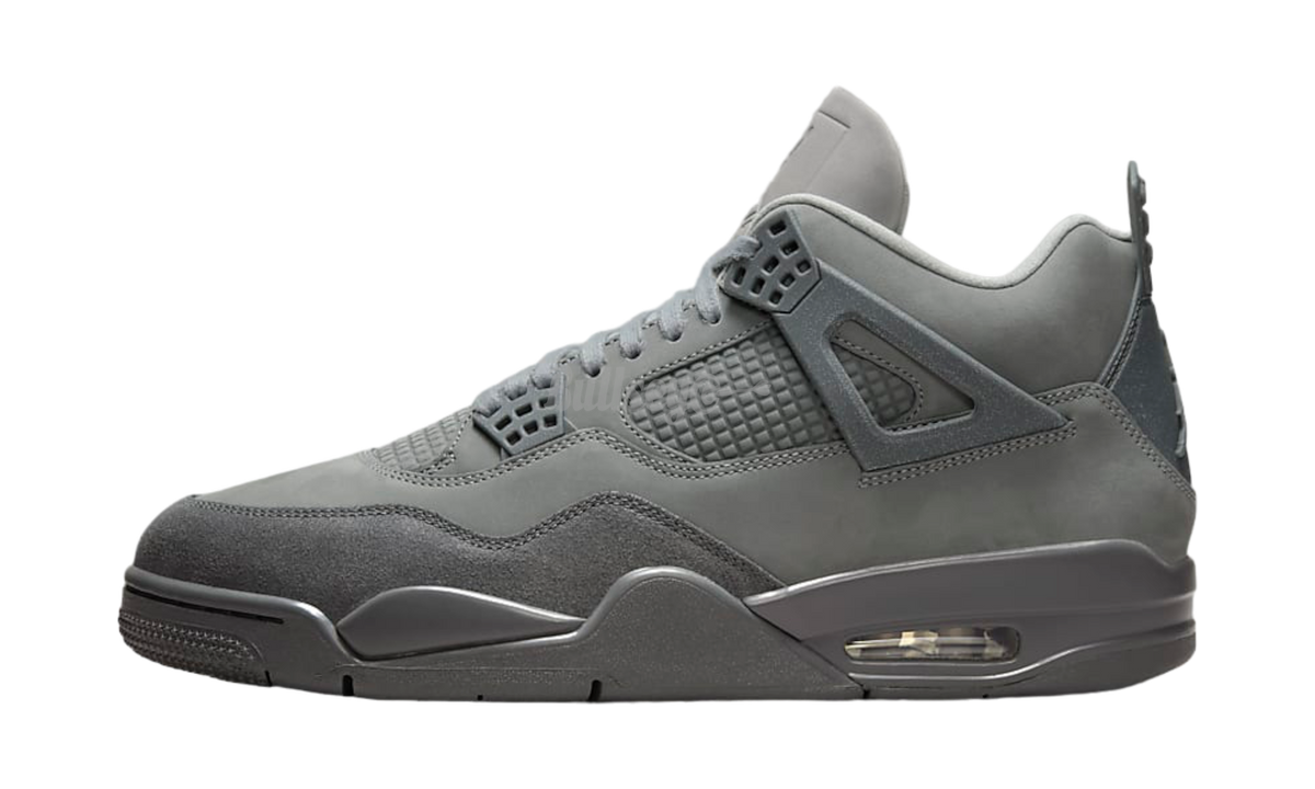 Air Jordan 4 Retro SE "Paris Olympics Wet Cement"