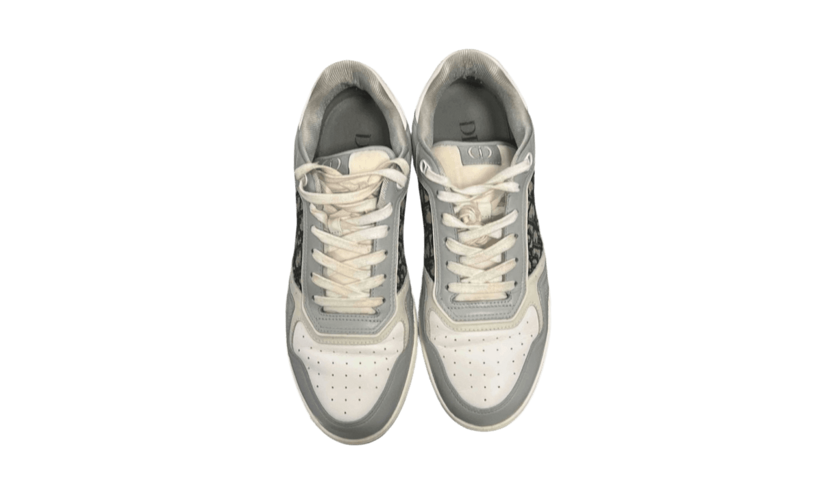 Dior B27 Low Gray White (PreOwned)