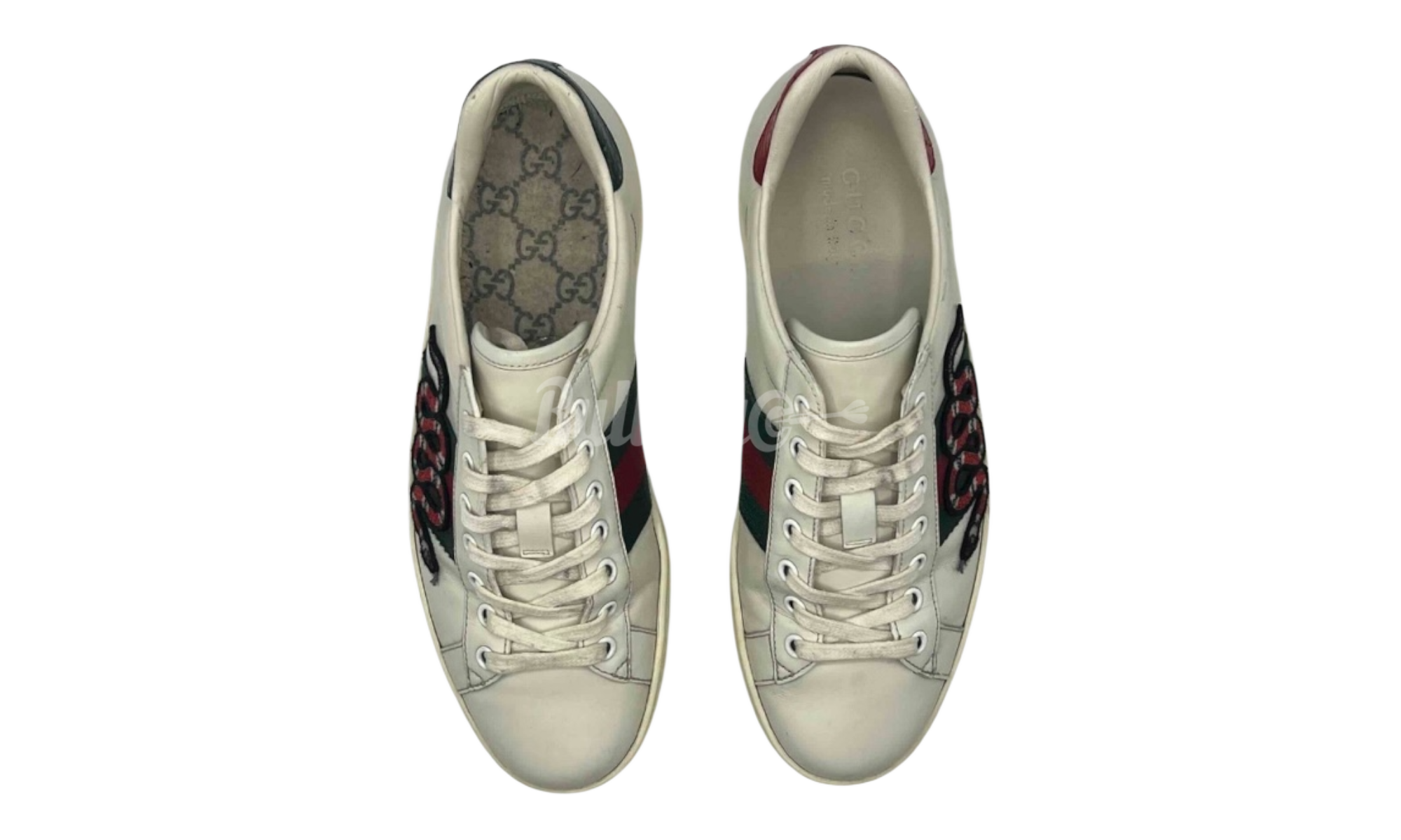 Gucci Ace Embroidered Snake (PreOwned) (Missing One Insole)