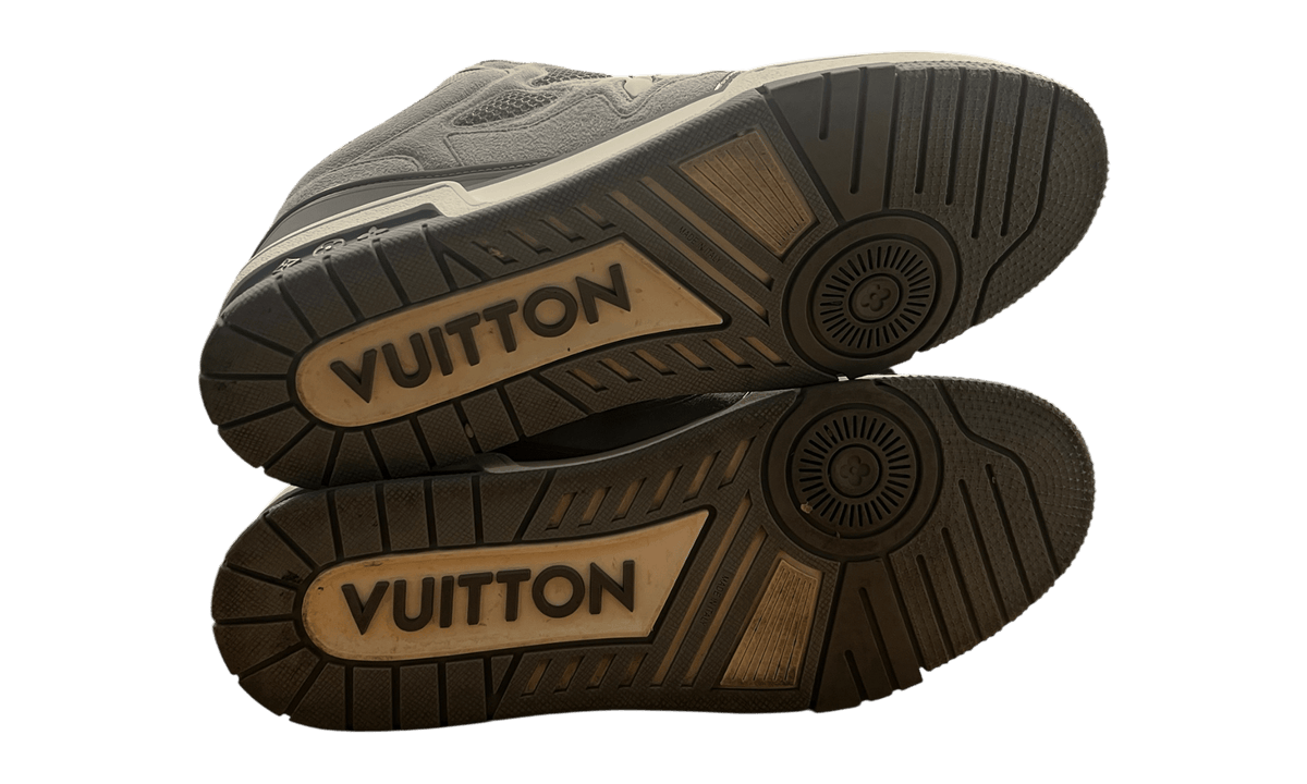 Louis Vuitton LV SK8 Shoe Grey
