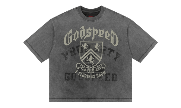 Godspeed Collegiate Grey Washed T-Shirt