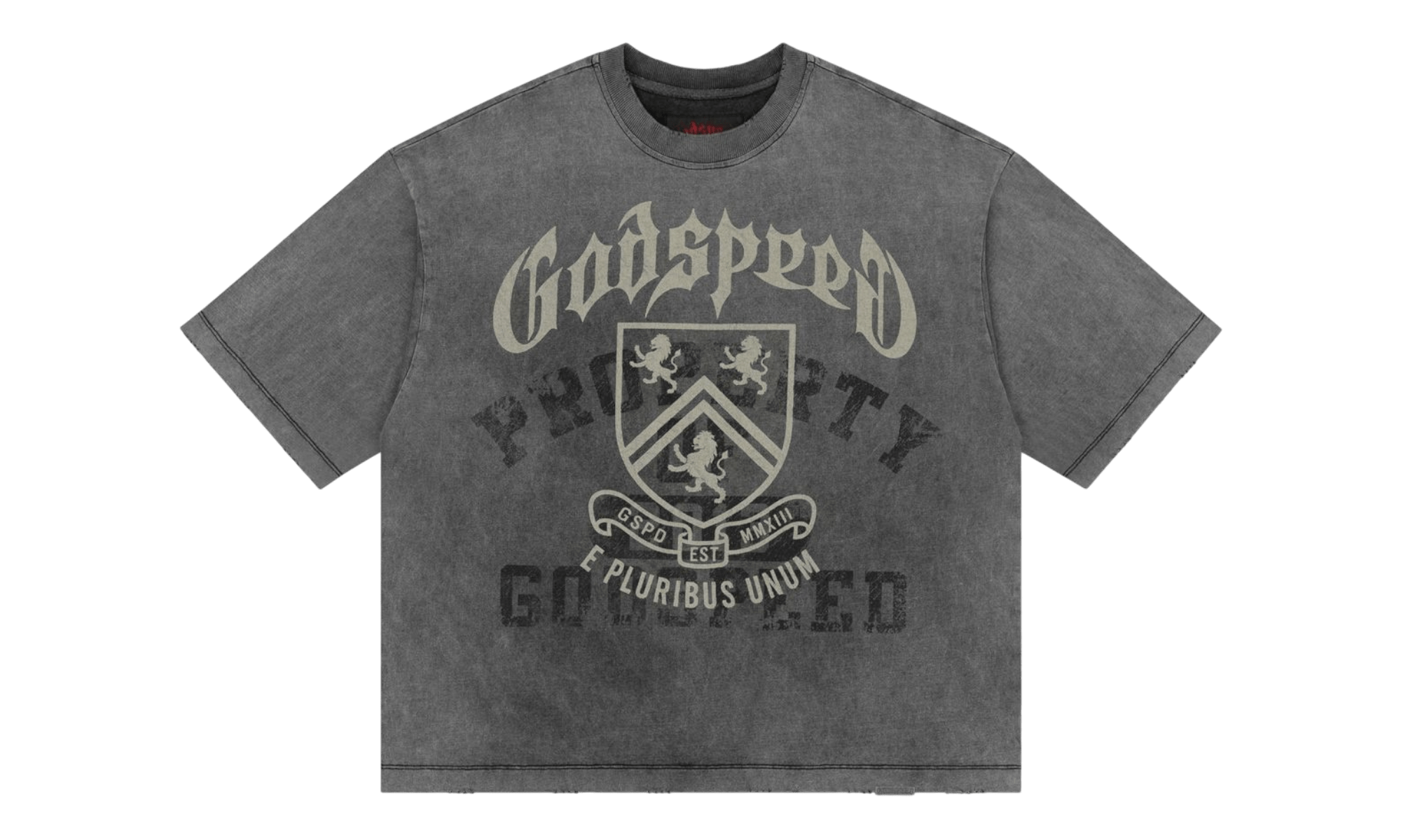 Godspeed Collegiate Grey Washed T-Shirt