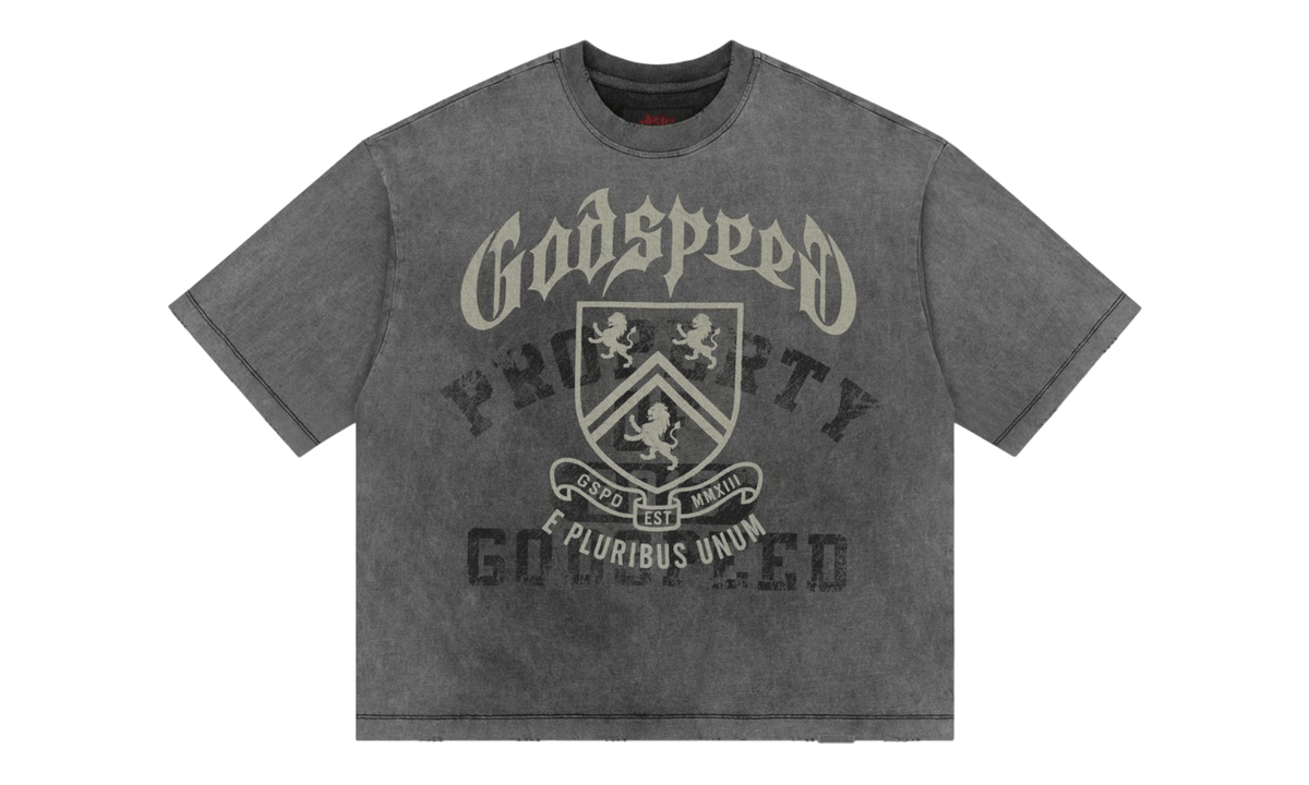 Godspeed Collegiate Grey Washed T-Shirt