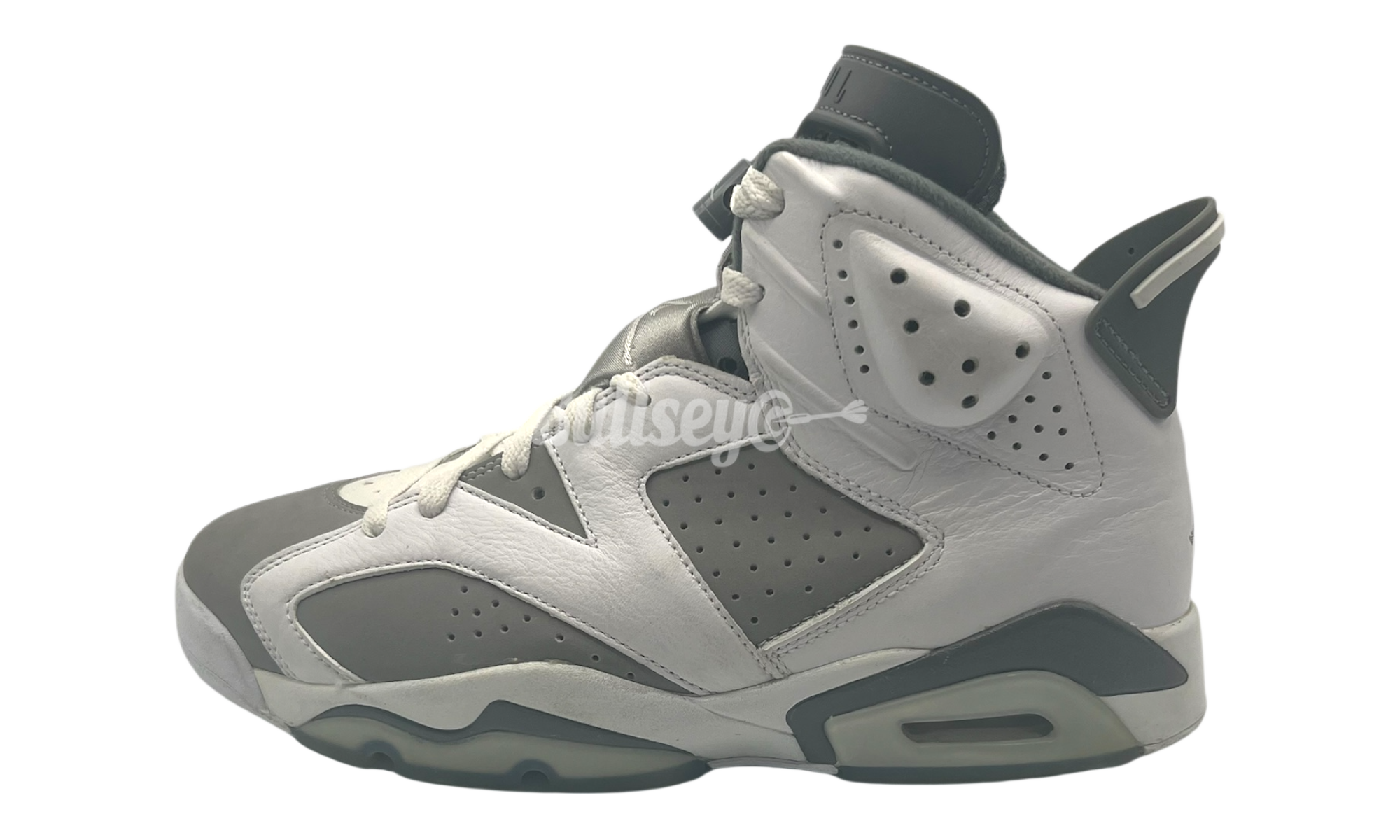 Air Jordan 6 Retro "Cool Grey" (PreOwned)