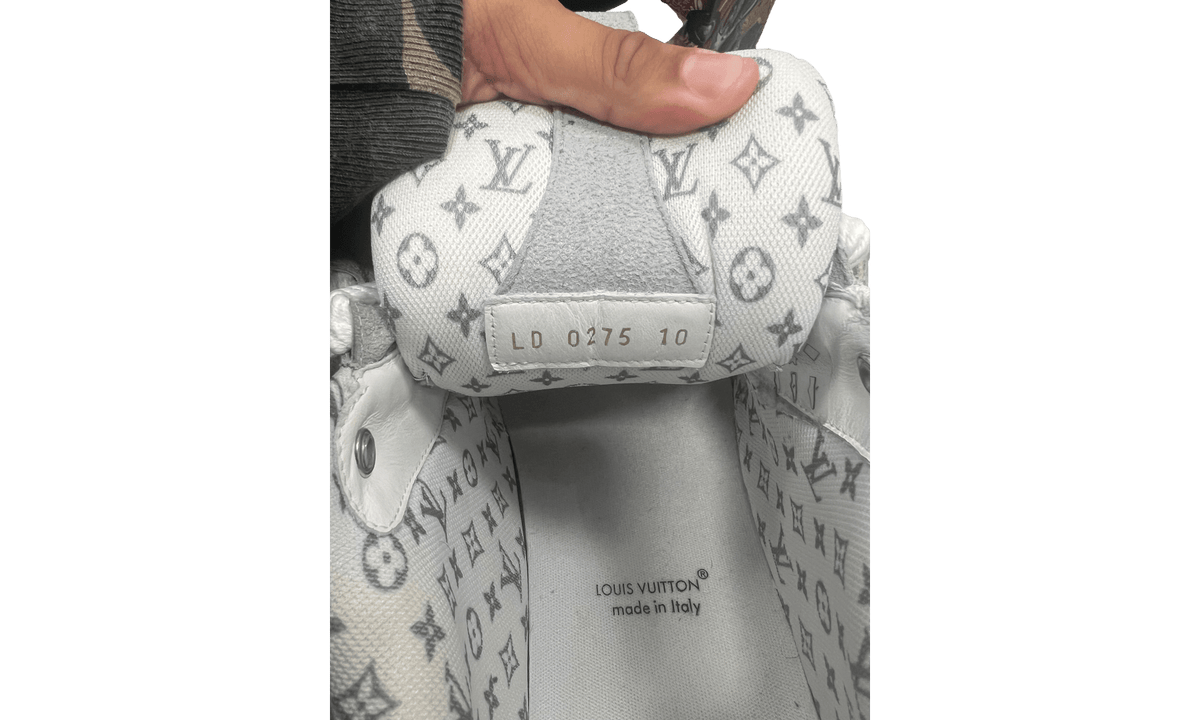 Louis Vuitton LV SK8 Shoe Grey