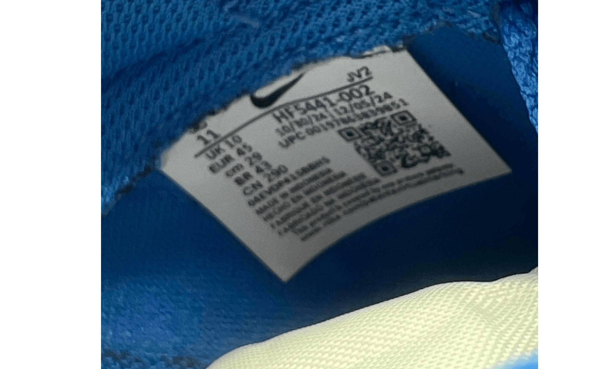 Nike Dunk Low Detroit Lions (PreOwned)