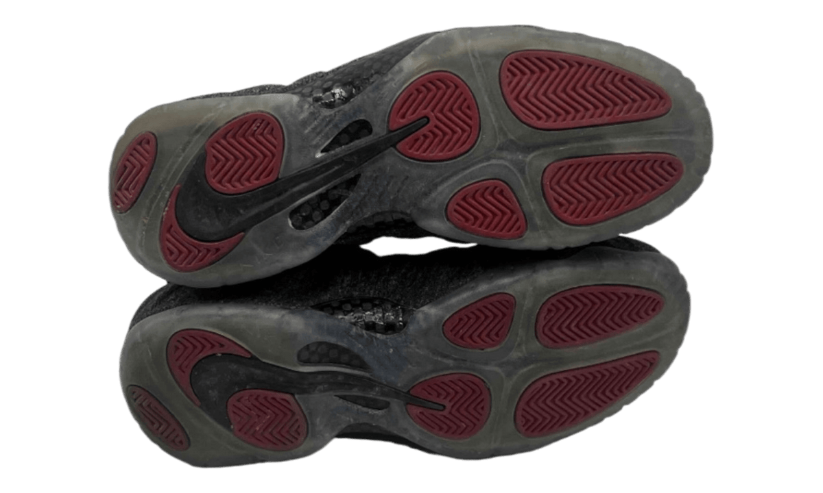 Nike Air Foamposite Pro Wool Fleece (PreOwned)