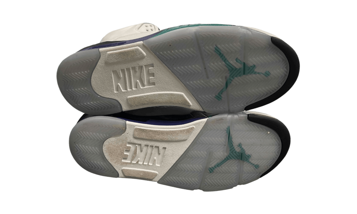 Air Jordan 5 Retro "Grape" (PreOwned)
