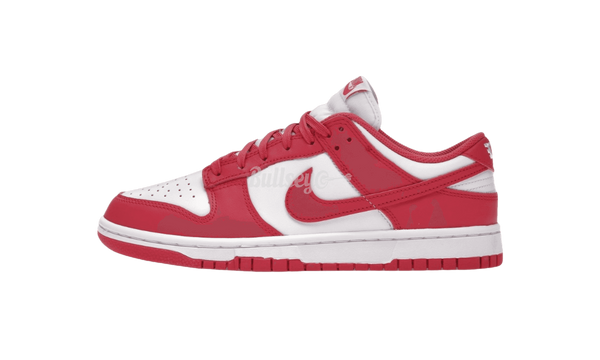 Nike Dunk Low "Archeo Pink"-Terrex Speed SG Trail Running Shoes