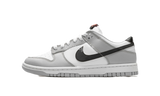 Nike Dunk Low Lottery Pack Grey Fog GS 160x