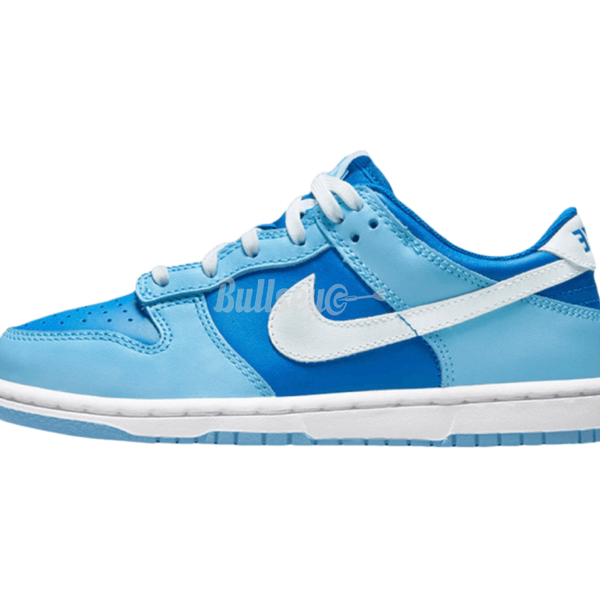 Nike Dunk Low Retro QS 